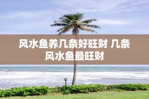 风水鱼养几条好旺财 几条风水鱼最旺财