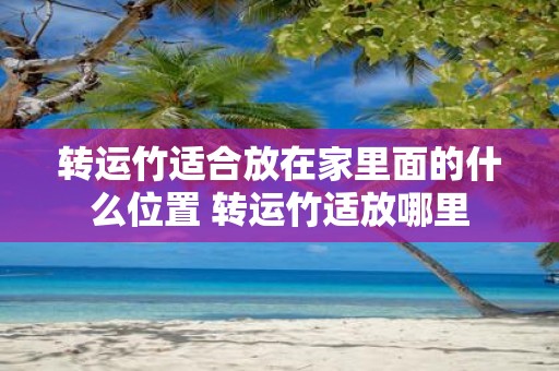 转运竹适合放在家里面的什么位置 转运竹适放哪里