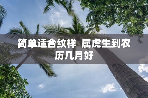 简单适合纹样 属虎生到农历几月好