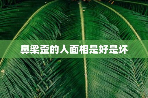鼻梁歪的人面相是好是坏