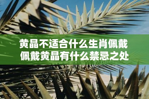 黄晶不适合什么生肖佩戴 佩戴黄晶有什么禁忌之处