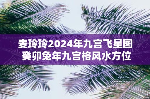 麦玲玲2025年九宫飞星图 癸卯蛇年九宫格风水方位图解
