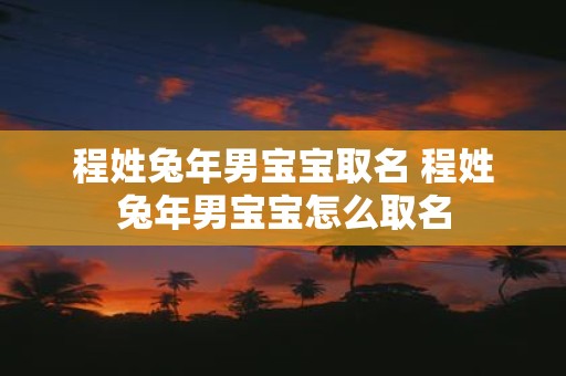 程姓蛇年男宝宝取名 程姓蛇年男宝宝怎么取名