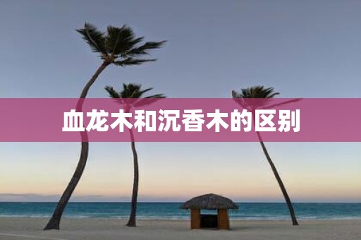 血龙木和沉香木的区别