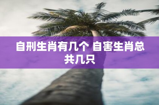 自刑生肖有几个 自害生肖总共几只