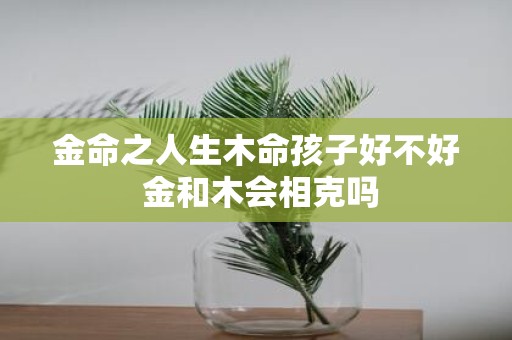 金命之人生木命孩子好不好 金和木会相克吗