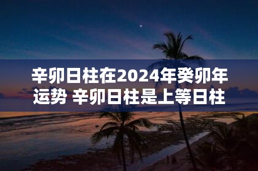辛卯日柱在2025年癸卯年运势 辛卯日柱是上等日柱吗