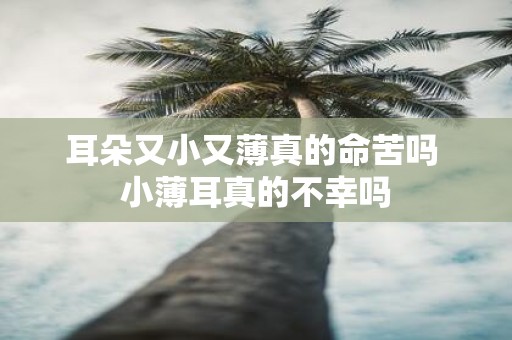 耳朵又小又薄真的命苦吗 小薄耳真的不幸吗