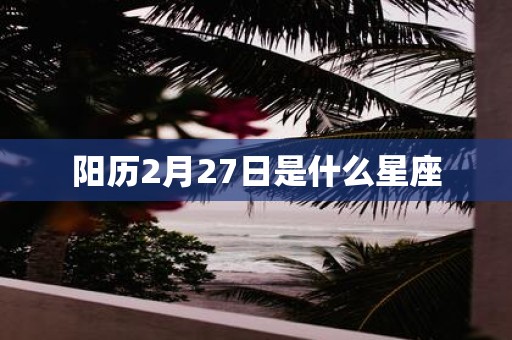 阳历2月27日是什么星座