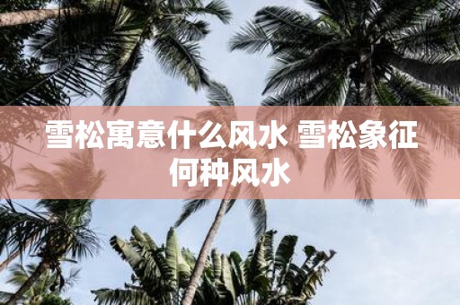 雪松寓意什么风水 雪松象征何种风水