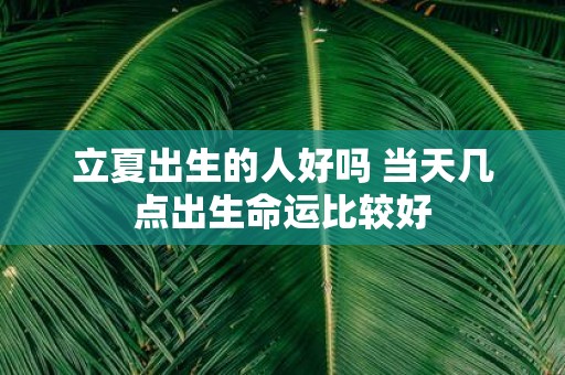 立夏出生的人好吗 当天几点出生命运比较好