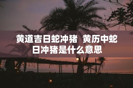 黄道吉日蛇冲猪 黄历中蛇日冲猪是什么意思