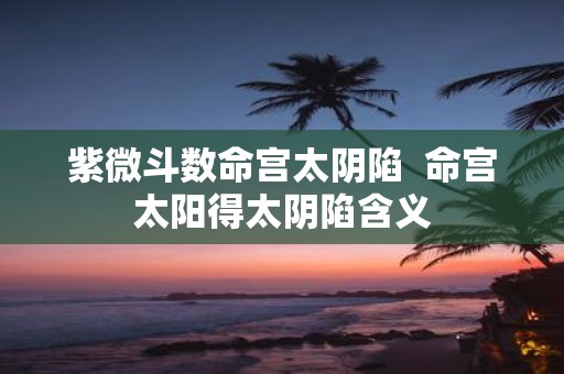 紫微斗数命宫太阴陷 命宫太阳得太阴陷含义