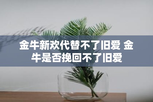 金牛新欢代替不了旧爱 金牛是否挽回不了旧爱