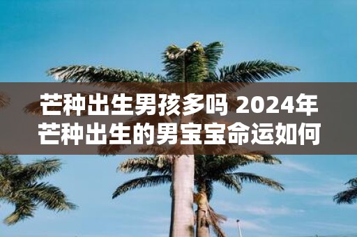 芒种出生男孩多吗 2025年芒种出生的男宝宝命运如何
