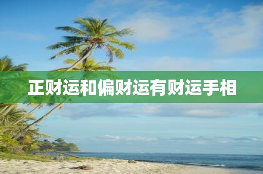 正财运和偏财运有财运手相