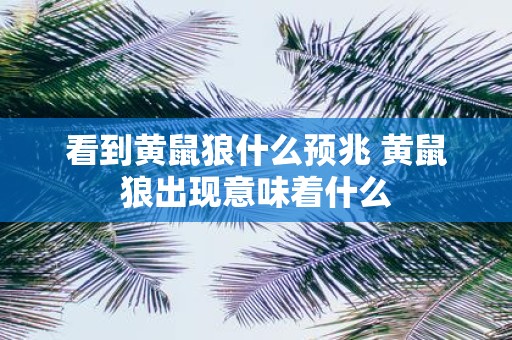 看到黄鼠狼什么预兆 黄鼠狼出现意味着什么