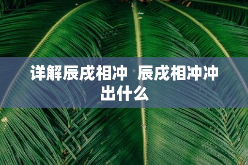 详解辰戌相冲 辰戌相冲冲出什么