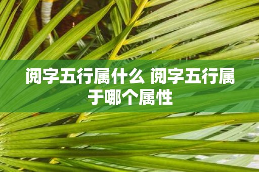 阅字五行属什么 阅字五行属于哪个属性