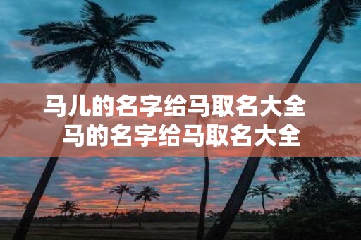 马儿的名字给马取名大全 马的名字给马取名大全
