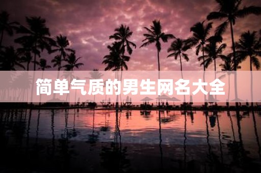 简单气质的男生网名大全
