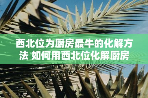 西北位为厨房最牛的化解方法 如何用西北位化解厨房最顽固的问题