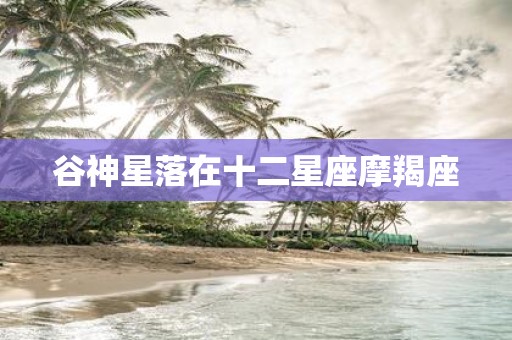 谷神星落在十二星座摩羯座