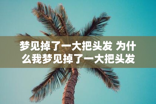 梦见掉了一大把头发 为什么我梦见掉了一大把头发
