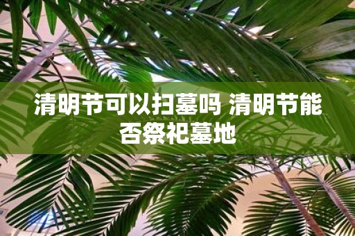 清明节可以扫墓吗 清明节能否祭祀墓地