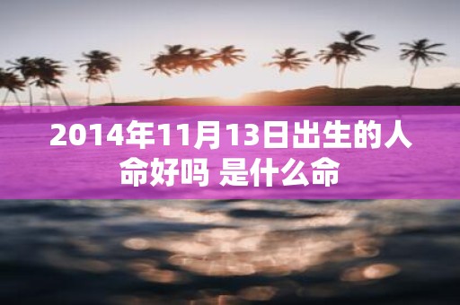 2014年11月13日出生的人命好吗 是什么命