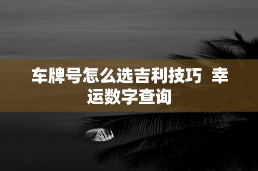 车牌号怎么选吉利技巧 幸运数字查询