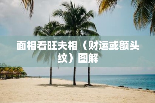 面相看旺夫相（财运或额头纹）图解