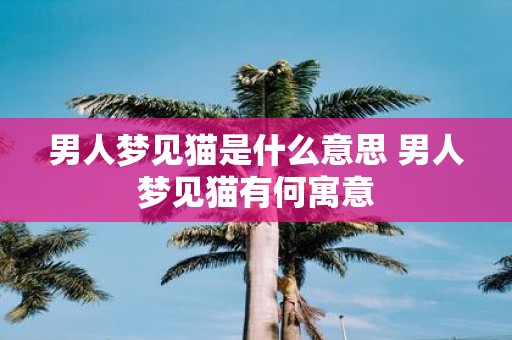 男人梦见猫是什么意思 男人梦见猫有何寓意