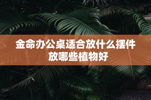 金命办公桌适合放什么摆件 放哪些植物好