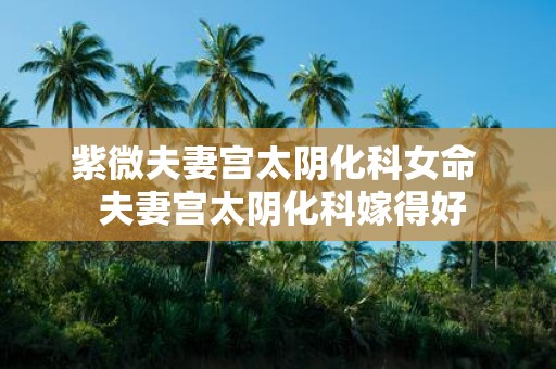 紫微夫妻宫太阴化科女命 夫妻宫太阴化科嫁得好