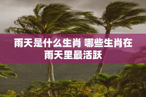 雨天是什么生肖 哪些生肖在雨天里最活跃