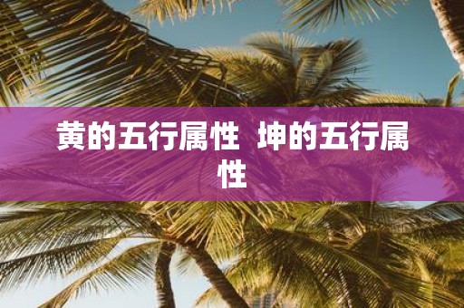 黄的五行属性 坤的五行属性