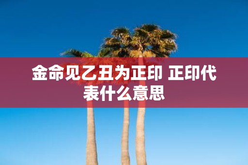 金命见乙丑为正印 正印代表什么意思
