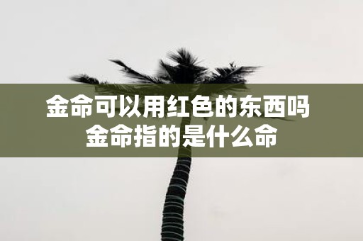 金命可以用红色的东西吗 金命指的是什么命