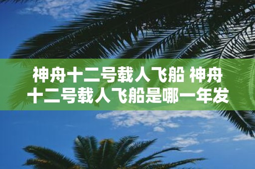 神舟十二号载人飞船 神舟十二号载人飞船是哪一年发射的