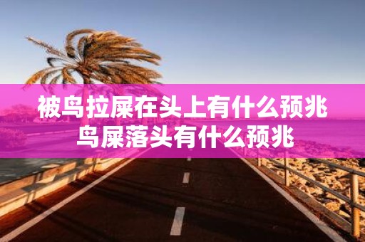 被鸟拉屎在头上有什么预兆 鸟屎落头有什么预兆