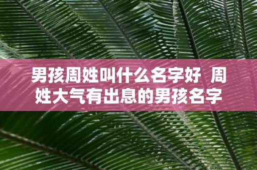 男孩周姓叫什么名字好 周姓大气有出息的男孩名字