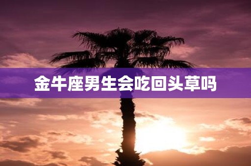 金牛座男生会吃回头草吗
