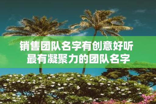 销售团队名字有创意好听 最有凝聚力的团队名字