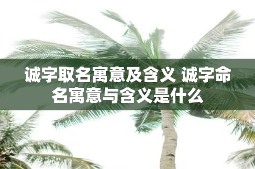 诚字取名寓意及含义 诚字命名寓意与含义是什么