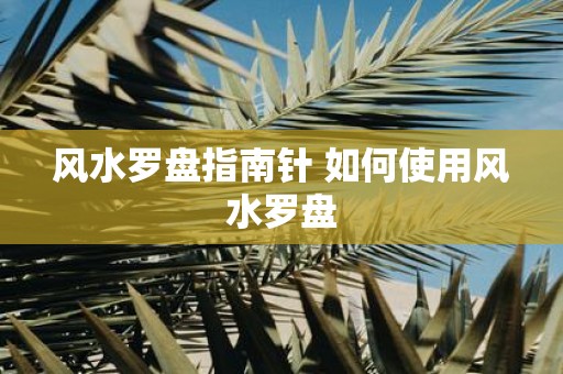 风水罗盘指南针 如何使用风水罗盘