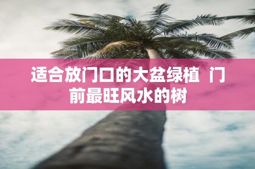 适合放门口的大盆绿植 门前最旺风水的树