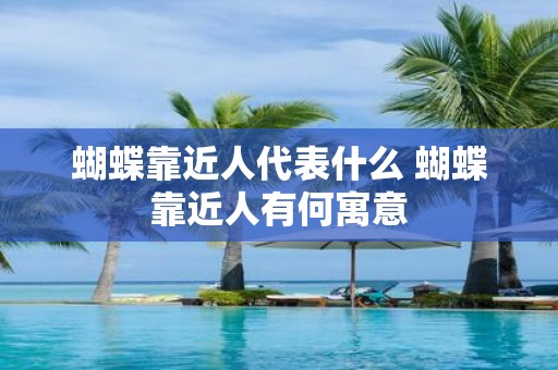 蝴蝶靠近人代表什么 蝴蝶靠近人有何寓意