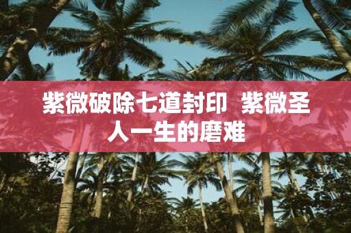 紫微破除七道封印 紫微圣人一生的磨难
