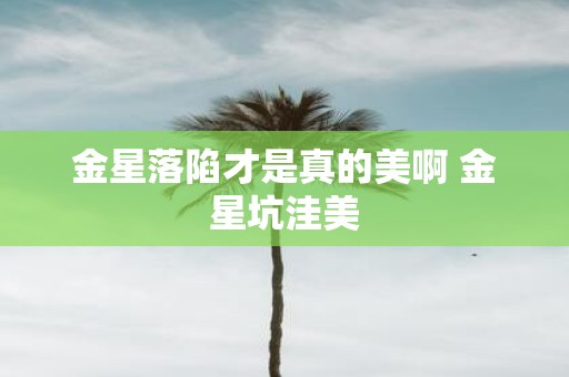 金星落陷才是真的美啊 金星坑洼美